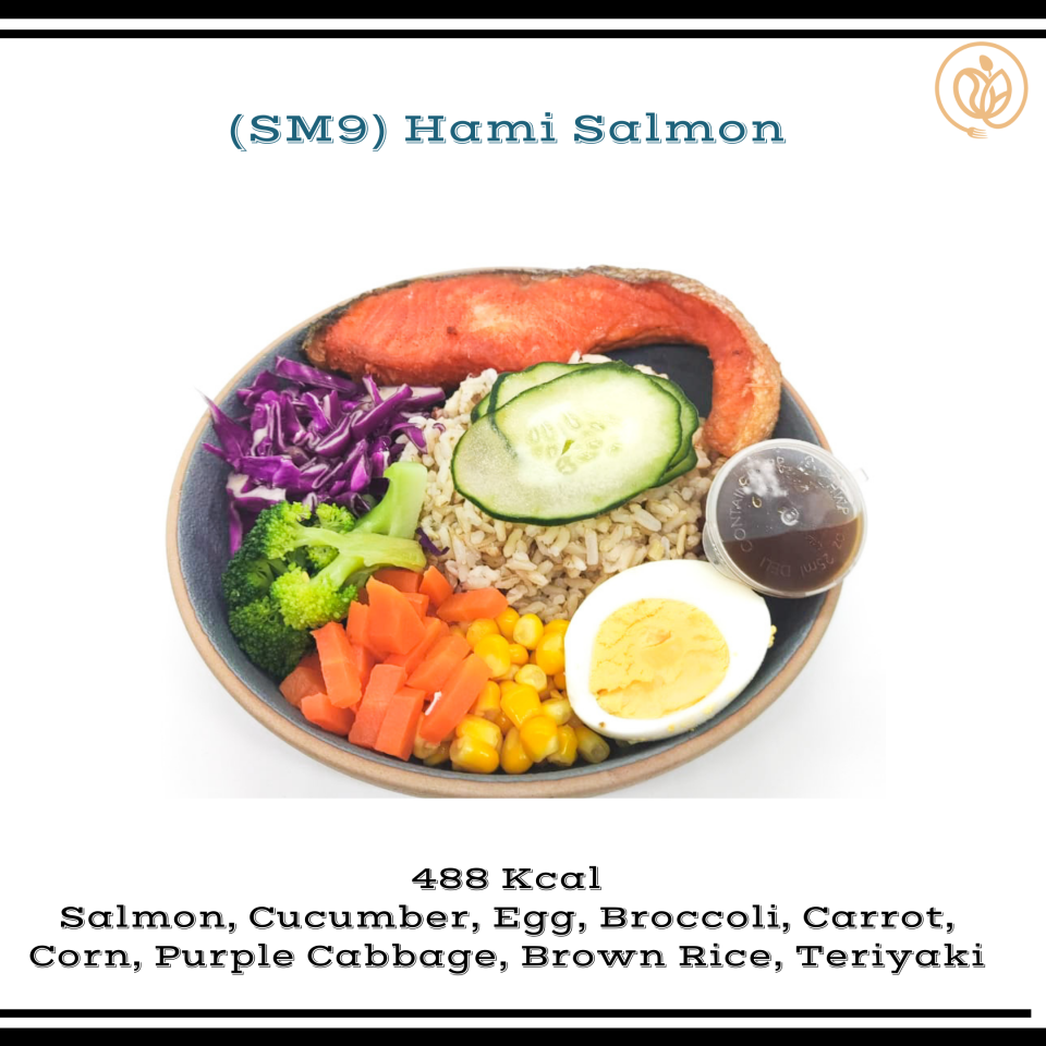 Eathami 食坊 SM9 Hami Salmon Brown Rice 食坊三文鱼糙米饭